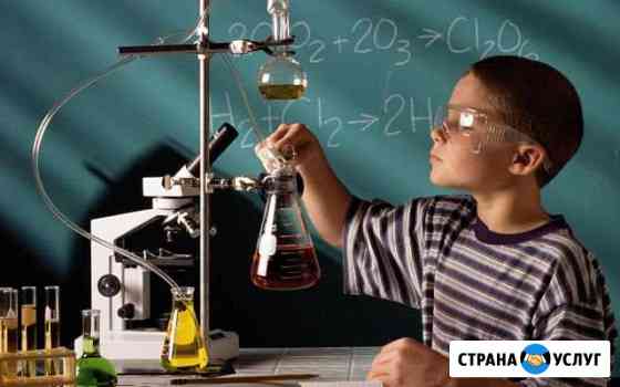 Репетитор по Химии и Биологии Абакан