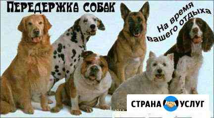 Передержка животных Ульяновск