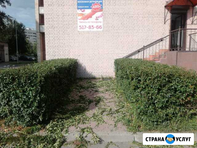 Садовник,услуги садовника, покос травы,стрижка,спи Санкт-Петербург - изображение 1