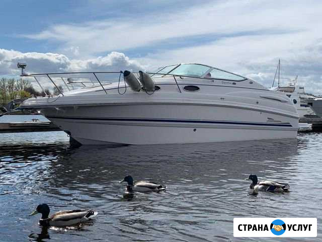 Аренда прокат катера Санкт-Петербург - изображение 1