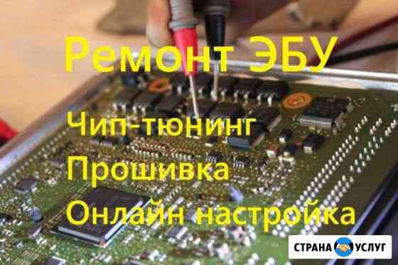 Ремонт эбу,Прошивка,Чип-тюнинг,Удаление SRS.евро 2 Омск