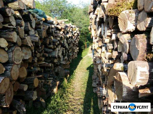 Дрова твердых парод Симферополь Симферополь - изображение 1