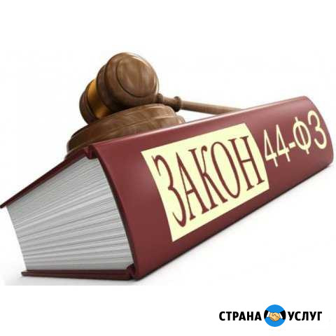 Обучение и аудит еасуз, еис и ртс Подольск - изображение 1