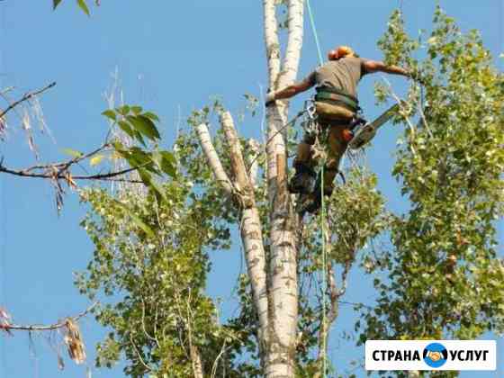 Спил деревьев и вывоз Таганрог