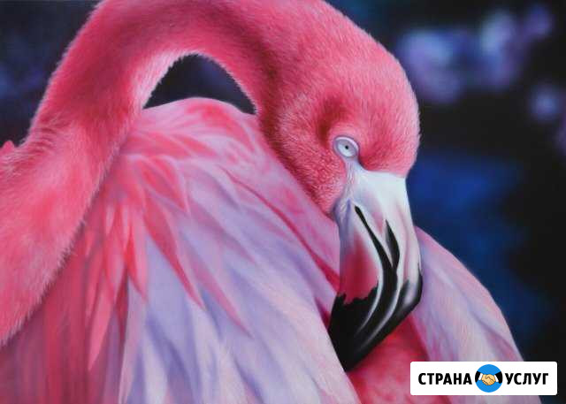 Роспись стен, аэрография. Картины на заказ Санкт-Петербург - изображение 1