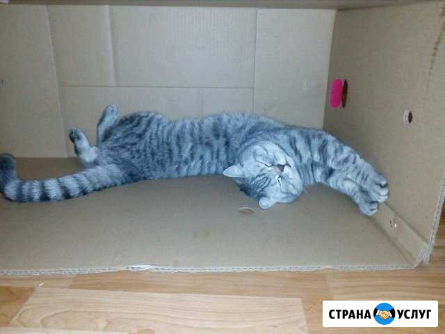 Вязка Будённовск - изображение 1