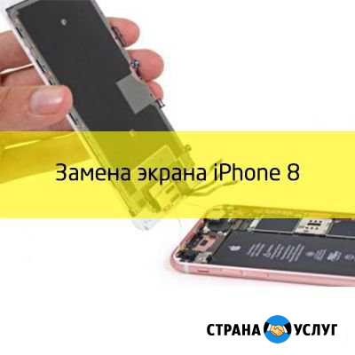 Замена экранного модуля для iPhone 8 Абакан - изображение 1