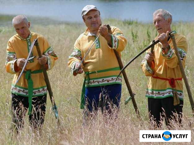 Покос травы, выбубка деревьев Мурманск - изображение 1