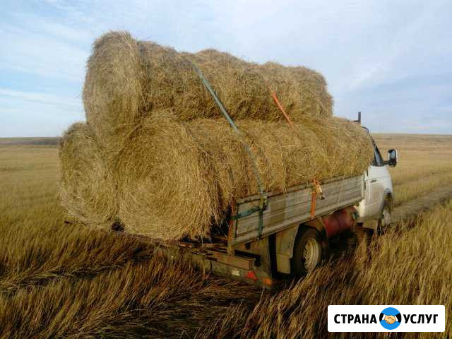 Продам сено, солома Магнитогорск - изображение 1