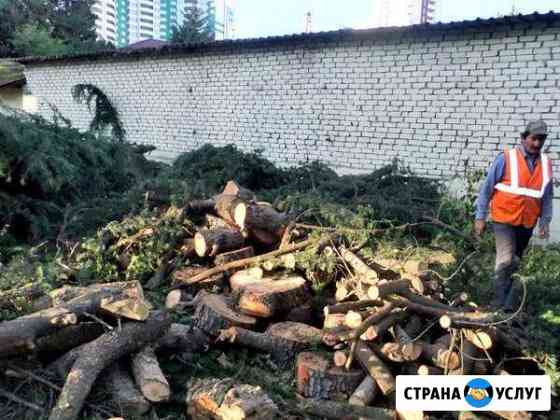 Расчистка участка вывоз порубочный остатков Сочи