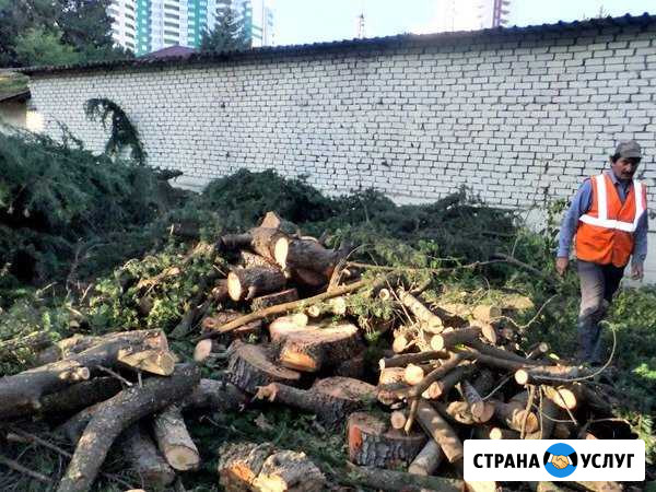 Расчистка участка вывоз порубочный остатков Сочи - изображение 1