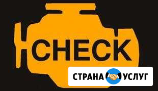Промывка инжектора Эртиль - изображение 1