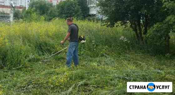 Покос травы, облагораживание участков Коломна