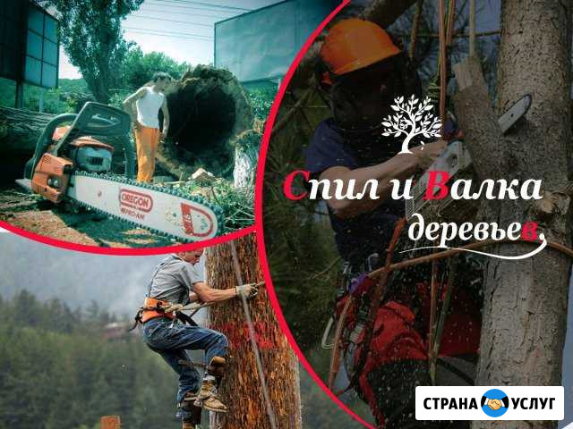 Спил и валка деревьев. Корчевание пней Троицк - изображение 1