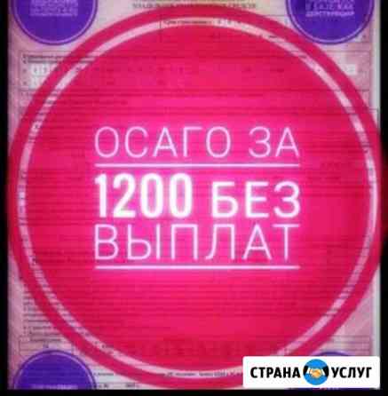 Осаго без выплат Уфа