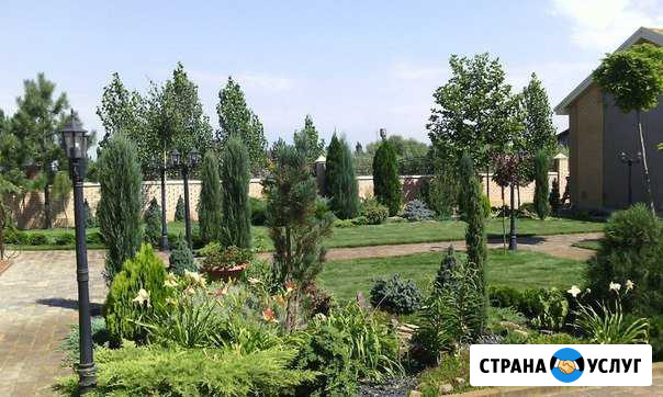 Благоустройство Орловский - изображение 1