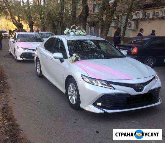 Тойота на свадьбу. Свадебный кортеж Волгоград