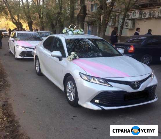 Тойота на свадьбу. Свадебный кортеж Волгоград - изображение 1