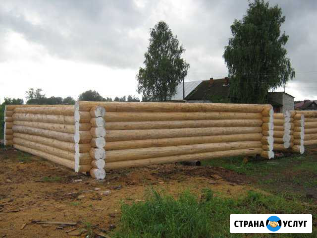 Срубы в наличии и под заказ Суслонгер - изображение 1