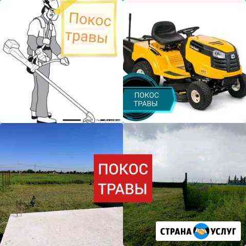 Покос травы, стрижка газонов Краснодар