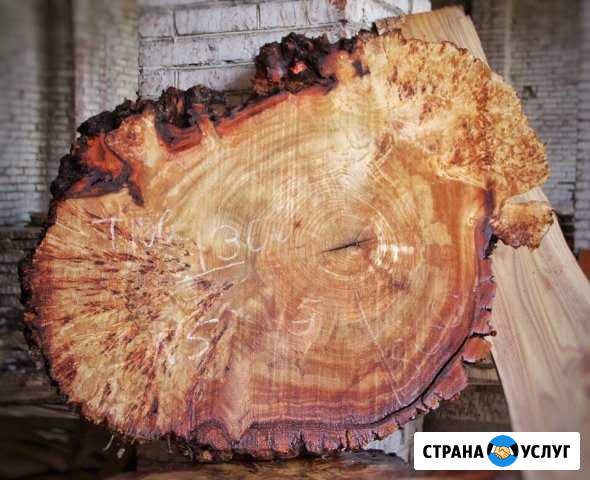 Изготавливаем слэбы и спилы. Орех, карагач, каппов Санкт-Петербург - изображение 1