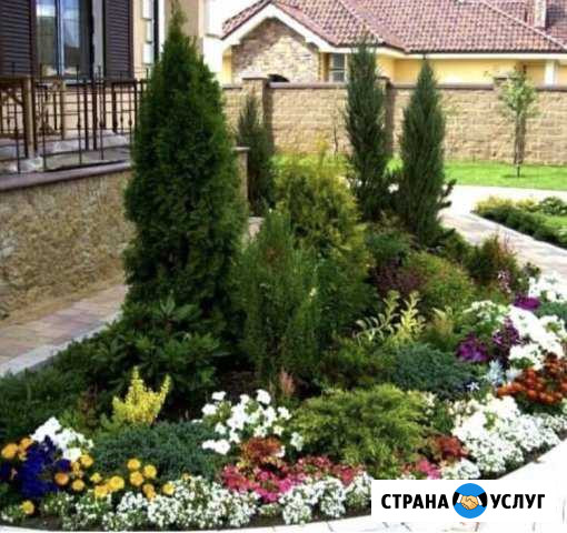 Ландшафтный дизайн, благоустройство, посадка газон Полесск - изображение 1