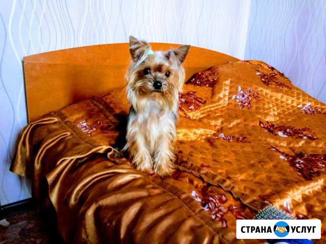 Ищем невесту Нижнекамск - изображение 1