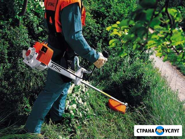 Покос травы Ставрополь - изображение 1