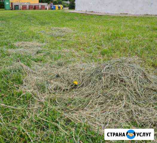 Покос травы Краснодар