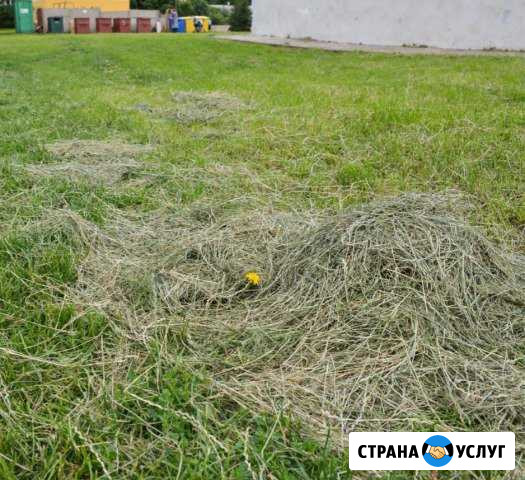 Покос травы Краснодар - изображение 1
