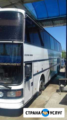 Аренда автобуса Волгоград Волгоград - изображение 1