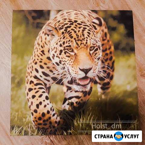 Широкоформатная печать Дмитров - изображение 1