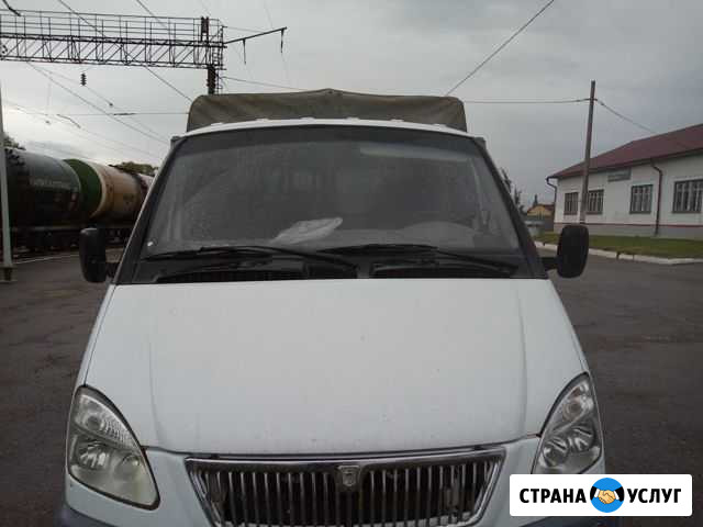 Вывоз мусора Вологда - изображение 1