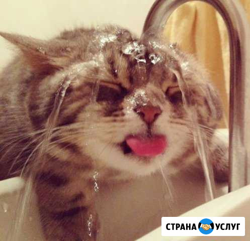 Бурение на воду.Водоснабжение. Отопление Дмитров - изображение 1