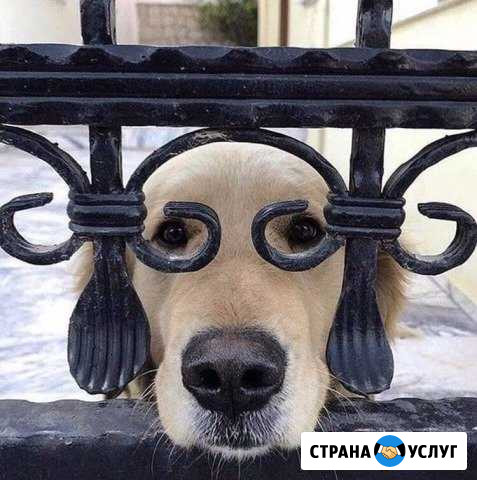 Кузнечная Мастерская Сварочные Работы Челябинск - изображение 1