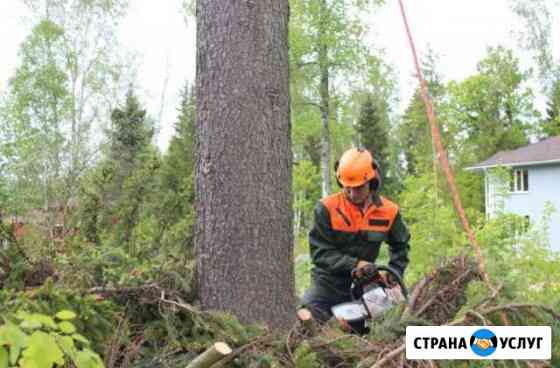 Спил деревьев, покос травы Новочеркасск