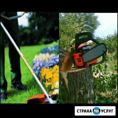 Покос травы,спил кустарников,деревьев Вологда - изображение 1