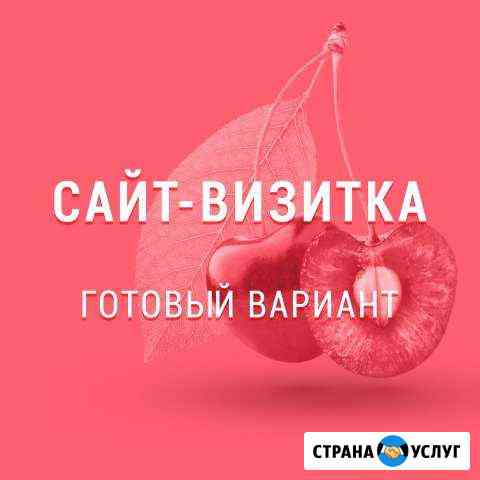 Создание сайта-визитки для бизнеса Санкт-Петербург