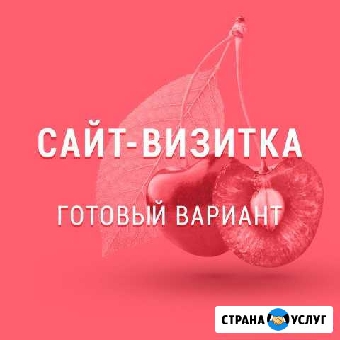 Создание сайта-визитки для бизнеса Санкт-Петербург - изображение 1