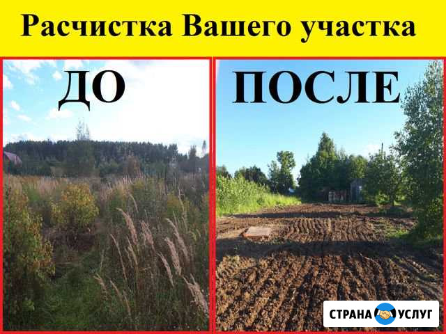 Расчистка участка.Спил деревьев.Планировка участка Городец - изображение 1