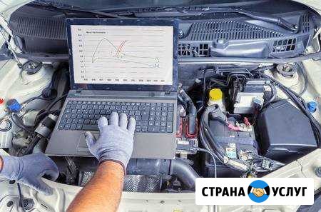 Выездная диагностика электронных систем автомобиля Нижний Новгород - изображение 1