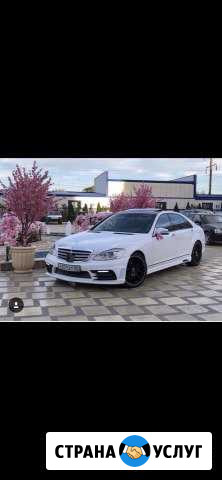 Авто услуга на свадьбу Сурхахи - изображение 1