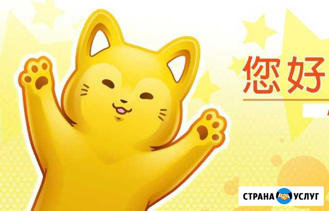 Репетитор китайского языка Малышева - изображение 1