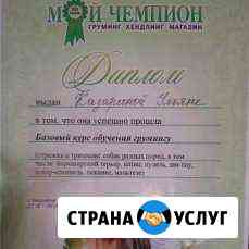 Грумер Нижневартовск