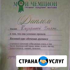 Грумер Нижневартовск - изображение 1