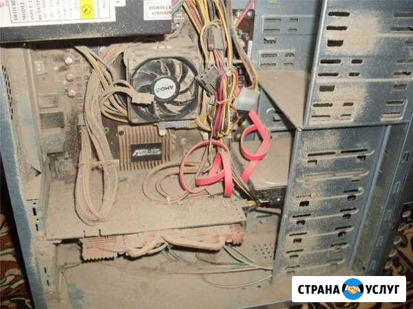 Реаниматор пк (компьютеров) Павловская - изображение 1