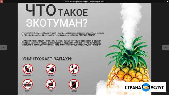 Удаление запахов в помещениях и авто Ижевск - изображение 1