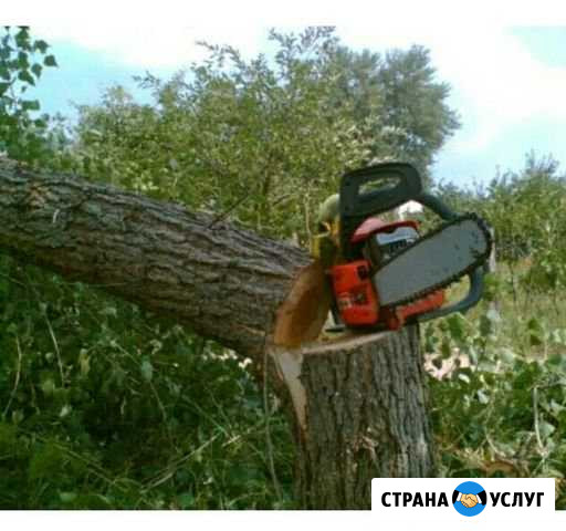 Спил,опил деревьев,удаление кустов на участке Кимры - изображение 1