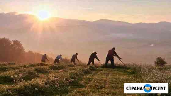 Покос травы Тамбов