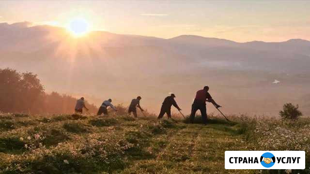 Покос травы Тамбов - изображение 1